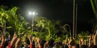 Procissão do Domingo de Ramos (29/03/2026)