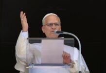Papa no Angelus: quem é Jesus para você?