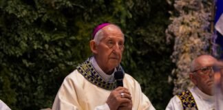 Assunção de Nossa Senhora: Dom José Antônio lembra que Maria aponta para o destino de todos os cristãos